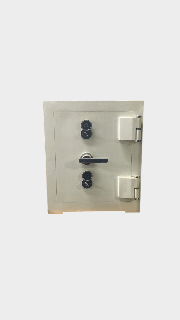 Zırhlı Ev ve Ofis Tipi Beyaz 60cm